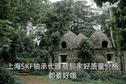 上海skf軸承，上海SKF軸承代理商那家好質量價格都要好哦