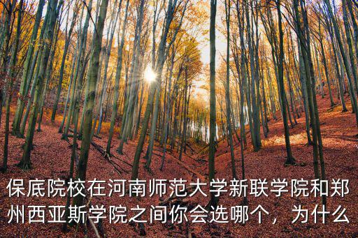 保底院校在河南師范大學新聯(lián)學院和鄭州西亞斯學院之間你會選哪個，為什么