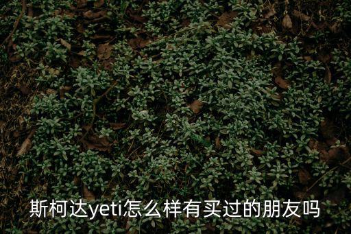 斯柯達yeti怎么樣有買過的朋友嗎