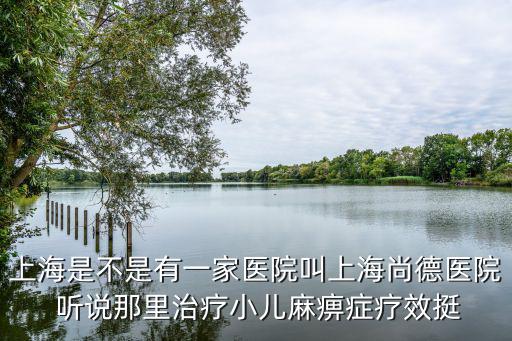 上海是不是有一家醫院叫上海尚德醫院 聽說那里治療小兒麻痹癥療效挺