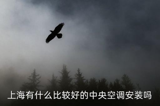 上海有什么比較好的中央空調(diào)安裝嗎