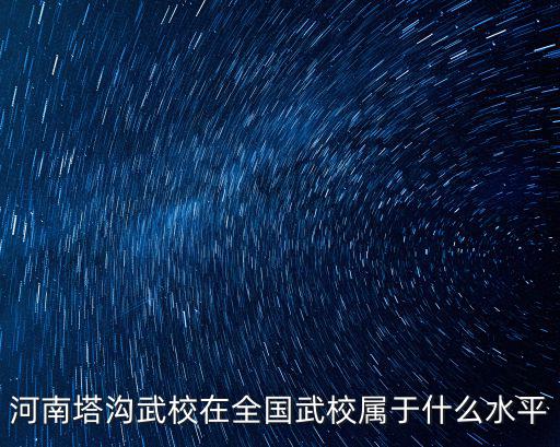 河南塔溝武校在全國武校屬于什么水平