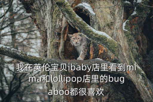 上海英倫寶貝兒童用品有限公司，BABY JANE上海專賣店