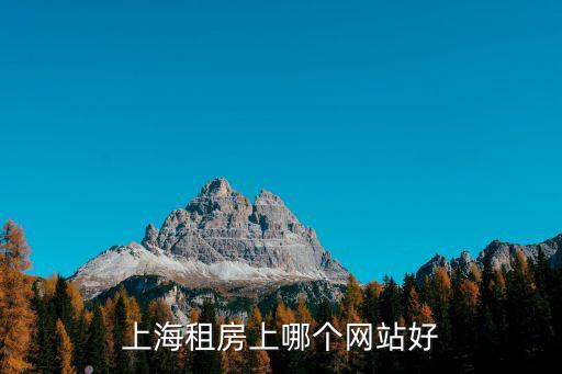 租房網上海，上海租房上哪個網站好
