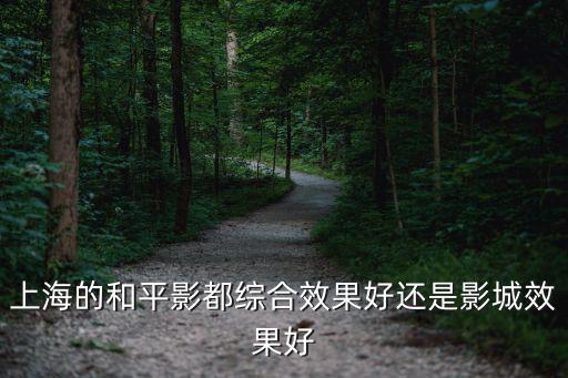 上海和平影都，上海平安夜和平影都