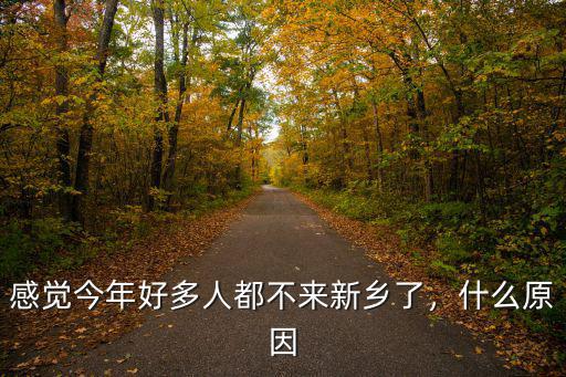感覺今年好多人都不來新鄉了，什么原因
