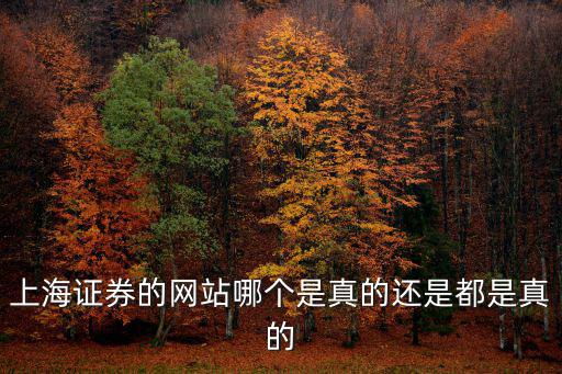 上海證卷，上海證券交易怎么關閉