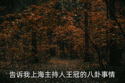 上海女主持人，上海所有的電視臺主持人叫王嫣是哪個臺