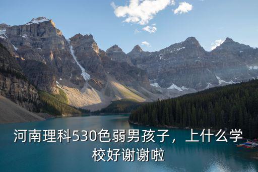 理科530分在河南排名多少分,河南理科530色弱男孩子