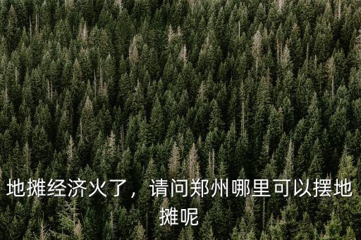 地?cái)偨?jīng)濟(jì)火了，請(qǐng)問(wèn)鄭州哪里可以擺地?cái)偰? class=