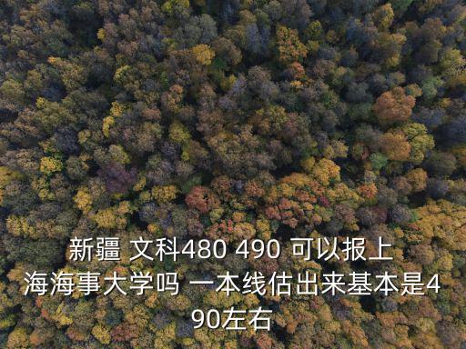新疆 文科480 490 可以報上海海事大學嗎 一本線估出來基本是490左右