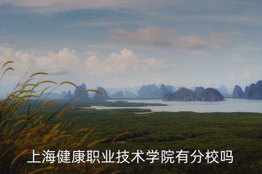 上海健康職業技術學院，上海健康職業技術學院有分校嗎