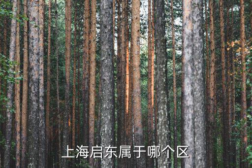 上海啟東屬于哪個(gè)區(qū)