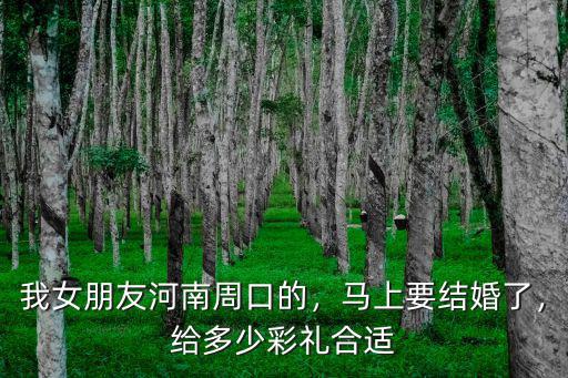 周口市區的彩禮是多少,周口這邊彩禮多少