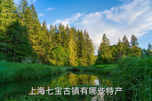 上海七寶古鎮有哪些特產