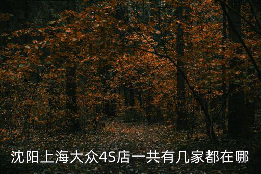 沈陽上海大眾4S店一共有幾家都在哪