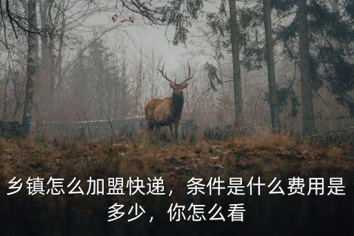 鄉(xiāng)鎮(zhèn)怎么加盟快遞，條件是什么費(fèi)用是多少，你怎么看