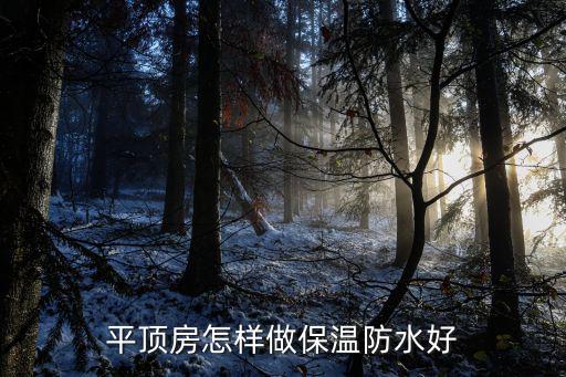 在平頂山市做的防水怎么樣,怎樣做屋頂防水效果好