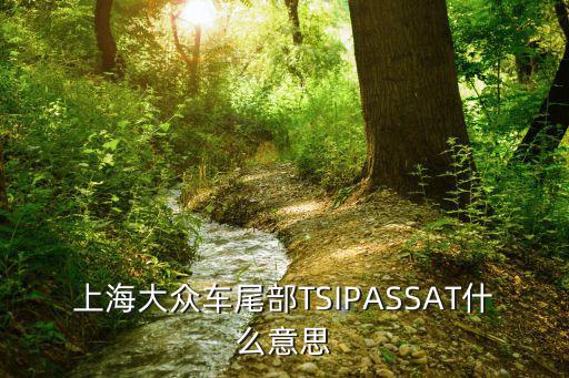 上海大眾車尾部TSIPASSAT什么意思