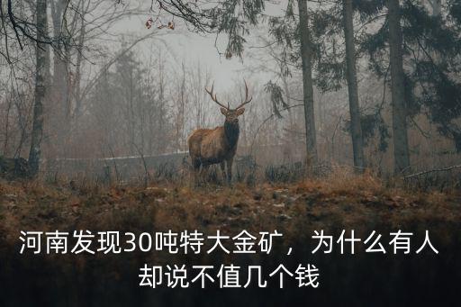 南陽怎么發(fā)現(xiàn)金礦,河南發(fā)現(xiàn)30噸特大金礦