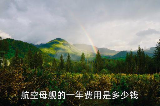 航空母艦的一年費用是多少錢