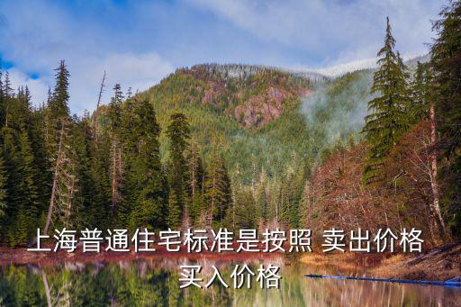 上海普通住房標準，上海普通住房標準的認定包括車位的價格么