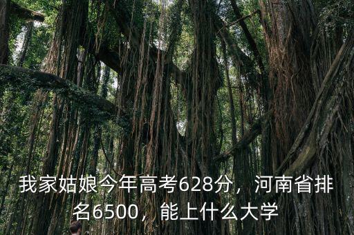 我家姑娘今年高考628分，河南省排名6500，能上什么大學