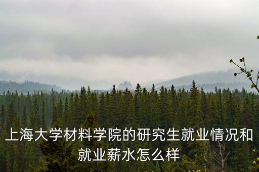 上海大學(xué)材料學(xué)院的研究生就業(yè)情況和就業(yè)薪水怎么樣