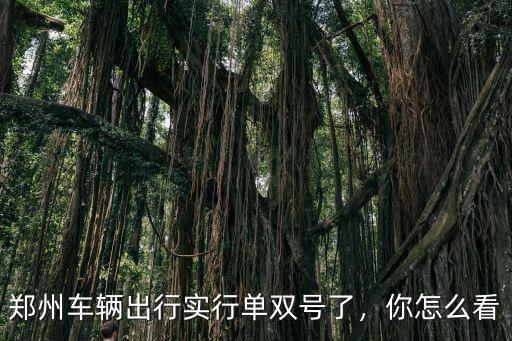 鄭州車輛出行實行單雙號了，你怎么看