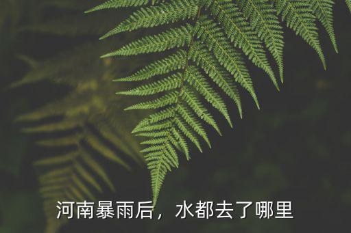 河南暴雨下游是哪里,如今河南發生暴雨
