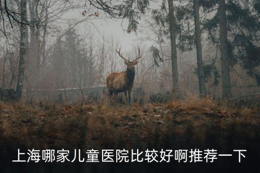 上海哪家兒童醫院比較好啊推薦一下