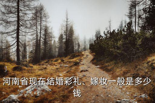 河南省現(xiàn)在結(jié)婚彩禮、嫁妝一般是多少錢