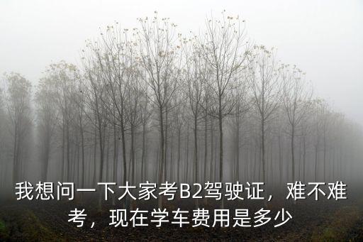 我想問一下大家考B2駕駛證，難不難考，現在學車費用是多少