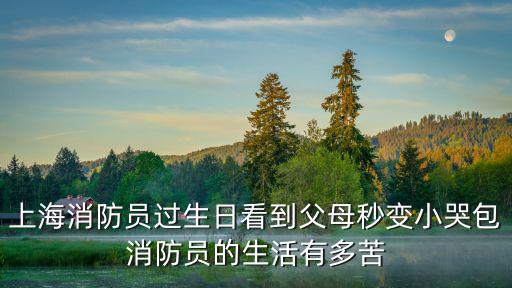 上海消防員，上海消防隊人員名單可以查到嗎