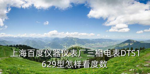 上海百度儀器儀表廠三相電表DTS1629型怎樣看度數