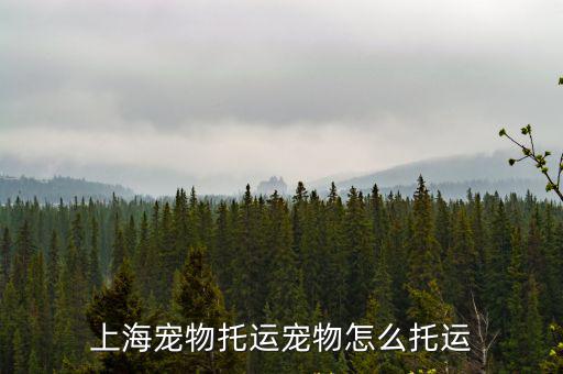上海寵物托運，上海什么寵物托運公司好