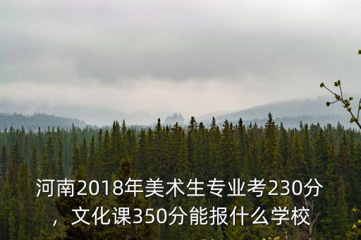 河南2018年美術生專業考230分，文化課350分能報什么學校