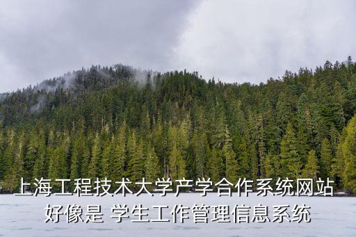 上海工程技術大學產學合作系統網站 好像是 學生工作管理信息系統