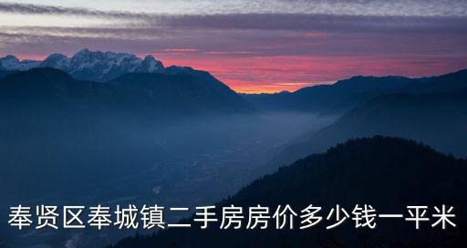 奉賢區奉城鎮二手房房價多少錢一平米