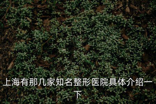 上海整容醫(yī)院，上海有那幾家知名整形醫(yī)院具體介紹一下