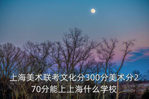 上海美術聯考，上海美術聯考302分文化400多的話有沒有希望考本科