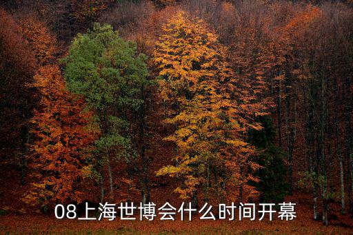 上海世博會開幕式，上海世博會的開幕