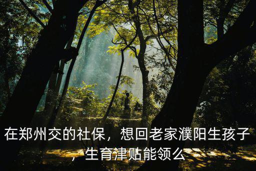 在鄭州交的社保，想回老家濮陽生孩子，生育津貼能領么