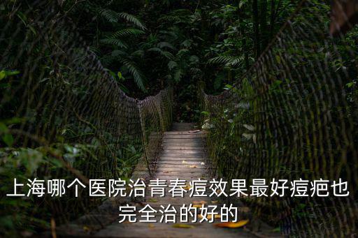 上海治療青春痘的醫院，上海治療青春痘最好的醫院是哪家