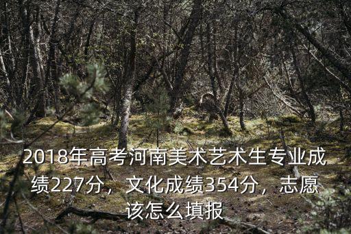 河南藝術生文化課350分怎么填志愿,志愿該怎么填報