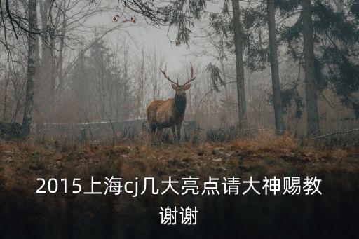 2015上海cj幾大亮點請大神賜教謝謝
