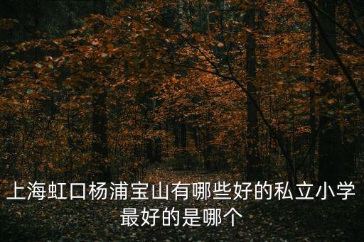 上海虹口楊浦寶山有哪些好的私立小學最好的是哪個