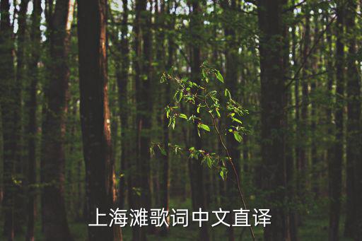 上海灘的歌詞，一二三上海灘 歌詞