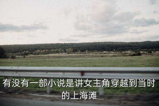 穿越上海灘，穿越在上海灘的穿越小說