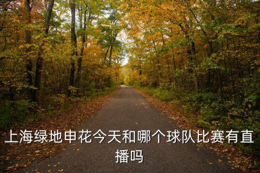 上海綠地申花今天和哪個球隊比賽有直播嗎